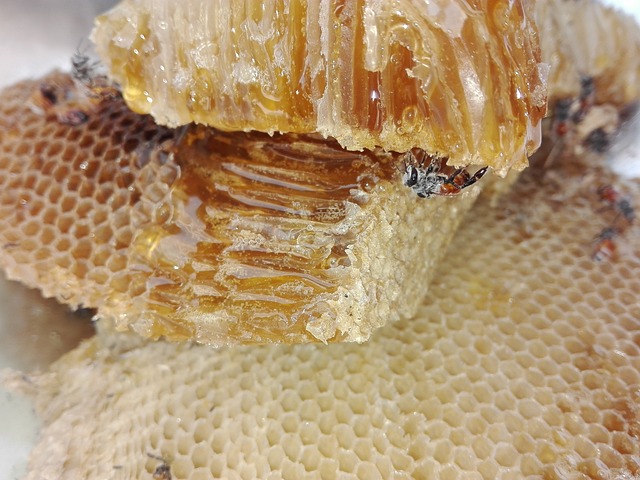 Raw honey from hives
